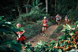 BIB: 
                            <button type="button" onclick="openModal(25826987)" class="btn btn-primary btn-sm float-right btn-popup" data-toggle="modal" data-target=".modal-high-quality">
                        <i class="fas fa-shopping-cart"></i> Add to Cart
                    </button>
                                            <button type="button" onclick="isThisMe(25826987, true)" class="btn btn-success btn-sm float-right btn-popup btn-isme hidden" data-toggle="tooltip" data-placement="bottom" title="นี่คือรูปของคุณใช่ไหม คลิกที่นี่เพื่อเอาเข้าอัลบั้ม">
                        <i class="fas fa-plus"></i> Add to album
                    </button>
                    <button type="button" onclick="isThisMe(25826987, false)" class="btn btn-warning btn-sm float-right btn-popup btn-isnotme hidden">
                        <i class="fas fa-ban"></i> Remove from album
                    </button>